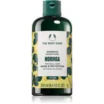 The Body Shop Moringa Shampoo šampón 250 ml