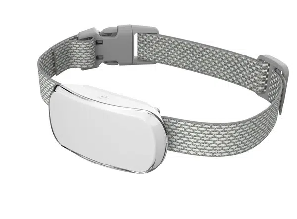 Reedog TC-005 | Protištekací obojok - biela