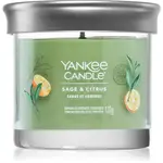 Yankee Candle Sage & Citrus vonná sviečka 122 g