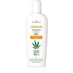Cannaderm Capillus Seborea CBD+ šampon šampon proti lupům 150 ml