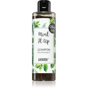 Anwen Mint It Up exfoliační šampon 200 ml