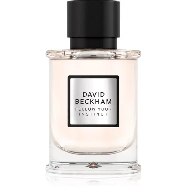 David Beckham Follow Your Instinct parfémovaná voda pro muže 50 ml
