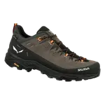 Salewa SALEWA Alp trainer 2 GTX EU 44 ½, Bungee Cord/Black Pánské trekové boty