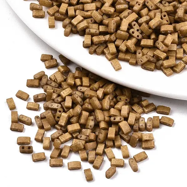 FGB 2-Hole Glass Seed Beads