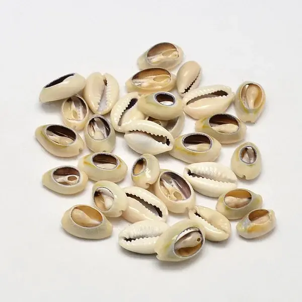 Natural Conch Shell Beads