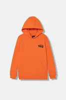 Dětská bavlněná mikina Vans