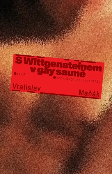 S Wittgensteinem v gay sauně - Vratislav Maňák