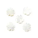 5Pcs Natural White Shell Beads