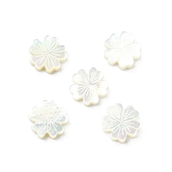5Pcs Natural White Shell Beads