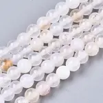 Natural Crackle Agate Beads Strands