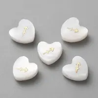 5Pcs Natural White Shell Beads
