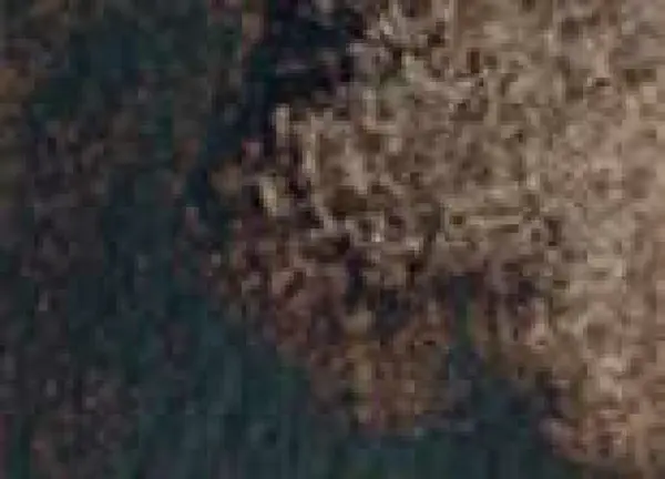 Akvarelová barva DS 15ml – 209 Sickelrite Genuine