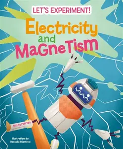 Electricity and Magnetism - Matteo Crivellini