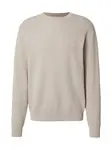 DAN FOX APPAREL Sveter 'Luis'  svetlosivá