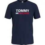 Tommy Hilfiger DM0DM15379C87