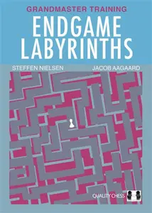Endgame Labyrinths - Jacob Aagaard