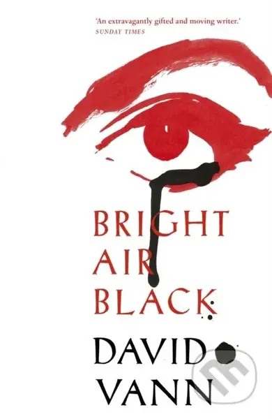 Bright Air Black - David Vann - kniha z kategorie Společenská beletrie