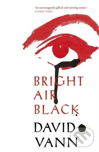 Bright Air Black - David Vann