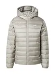 JACK & JONES Prechodná bunda 'JWHLOGAN'  striebornosivá