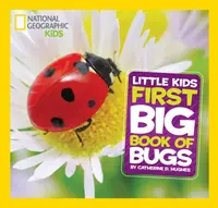 Little Kids First Big Book of Bugs - Catherine D. Hughes