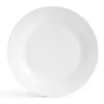 Mělký talíř 27cm kulatý