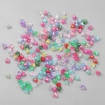 1900Pcs Transparent Acrylic Beads