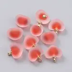 Frosted Transparent Acrylic Pendants