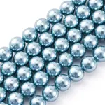 Shell Pearl Beads Strands