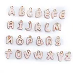 Alloy Enamel Charms