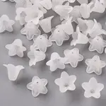 Transparent Acrylic Beads