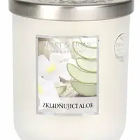 Velká svíčka - Zklidňující aloe