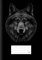 Školní sešit LUX A5 540