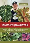 Tajemství pokojovek - Matěj Hradský