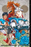 Black Clover, Vol. 12 - Yuki Tabata