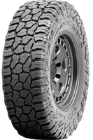 FALKEN 305/55 R 20 121/118Q WILD_PEAK_R/T_RT01 TL