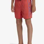 Boys' shorts swimsuit Quiksilver EVERYDAY VERT VOLLEY