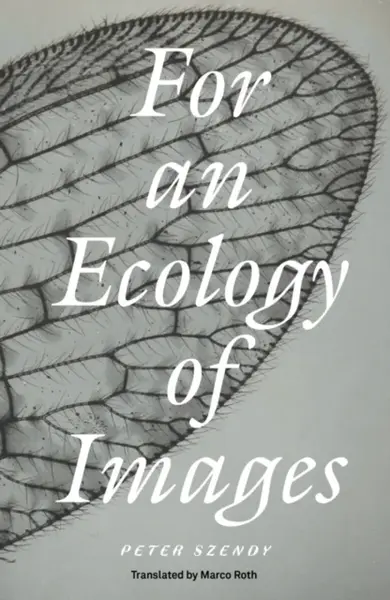 For an Ecology of Images - Peter Szendy