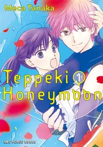 Teppeki Honeymoon Volume 1 - Tanaka Meca