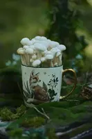 Keramický hrnek Medicine více barev