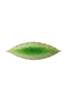 Sada talířů Costa Nova Riviera Laurel 18 cm 6-pack