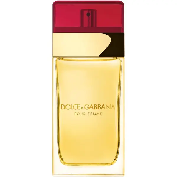 Dolce&Gabbana Pour Femme toaletní voda pro ženy 100 ml
