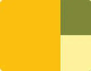 Akrylová barva Lefranc 200ml – 372 Indian Yellow