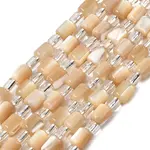 Natural Trochid Shell/Trochus Shell Beads Strands