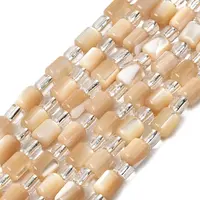 Natural Trochid Shell/Trochus Shell Beads Strands