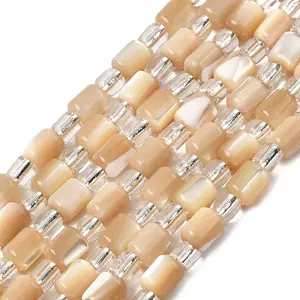 Natural Trochid Shell/Trochus Shell Beads Strands