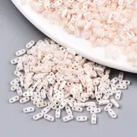 FGB 2-Hole Glass Seed Beads