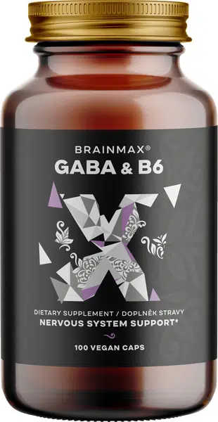 BRAINMAX GABA & B6 100 kapslí