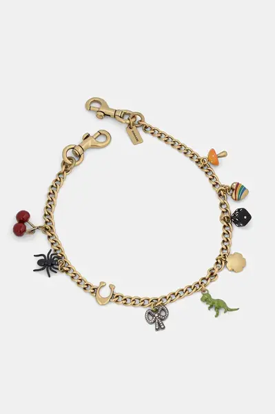 Řetízek na kabelku Coach CCD30