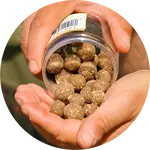 One more cast tvrzené obalené boilie cured hardened hookbaits iscream 120 g 15 & 18 mm