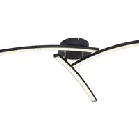 Stropní LED osvětlení Tansy 60 cm, černé